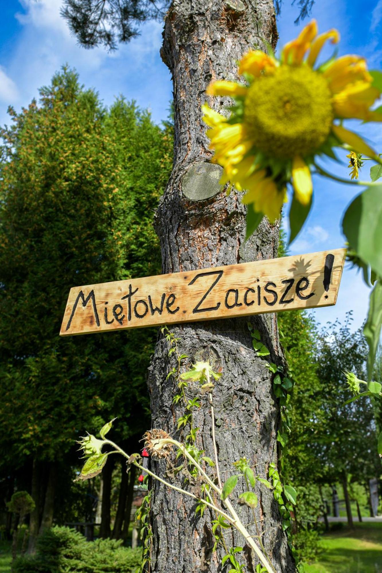 Mietowe Zacisze Zator Διαμέρισμα Laskowa  Εξωτερικό φωτογραφία