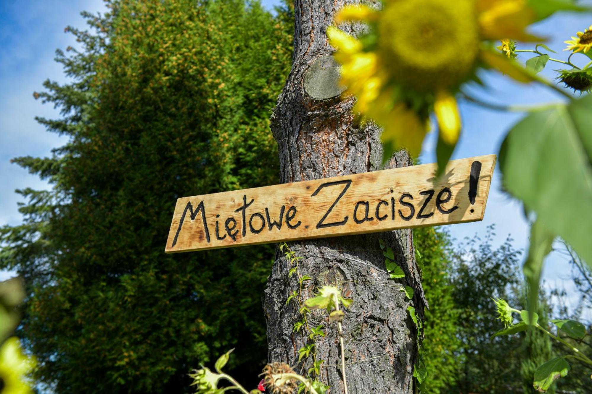 Mietowe Zacisze Zator Διαμέρισμα Laskowa  Εξωτερικό φωτογραφία